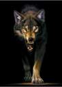 Werewolf32