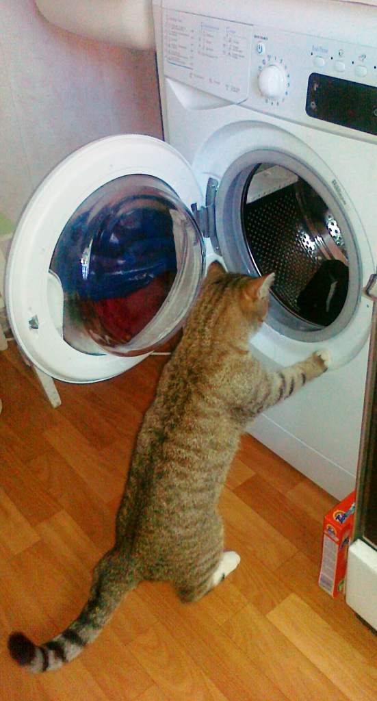 ����� �����