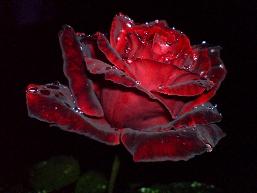 ���������32