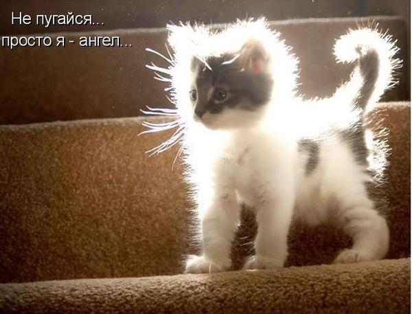 ������� �.